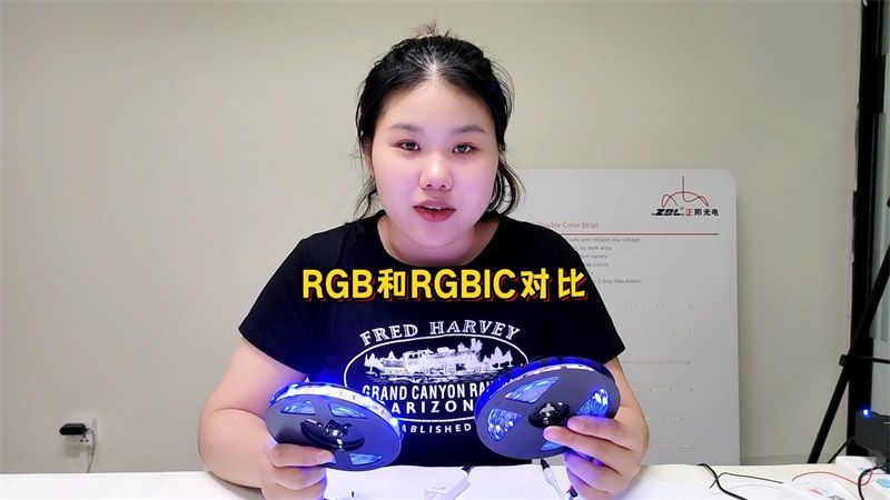 RGB vs RGBIC: 燈帶中的兩大巨頭有什么區(qū)別？